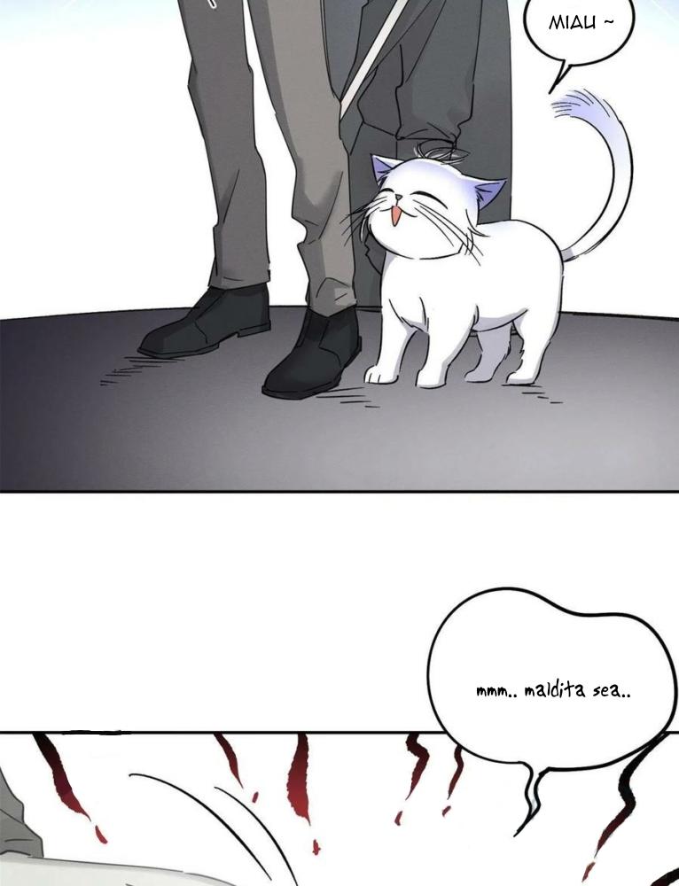 Tengo que trabajar duro para ser un gato hoy! - capitulo 17 manhwa