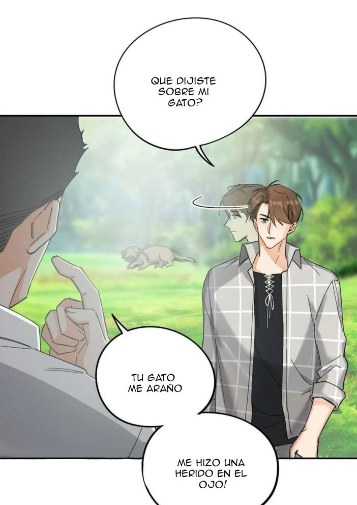 Tengo que trabajar duro para ser un gato hoy! - capitulo 17 manhwa