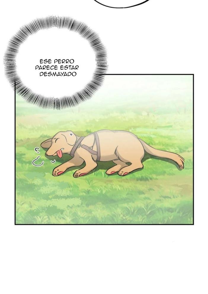 Tengo que trabajar duro para ser un gato hoy! - capitulo 17 manhwa