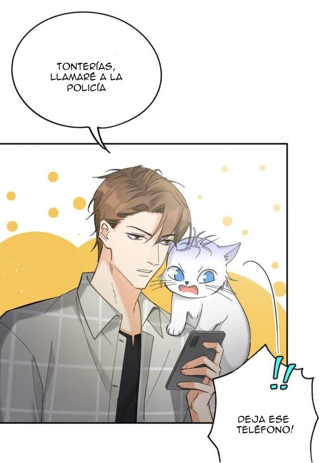 Tengo que trabajar duro para ser un gato hoy! - capitulo 17 manhwa