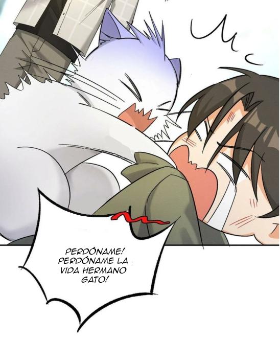 Tengo que trabajar duro para ser un gato hoy! - capitulo 17 manhwa