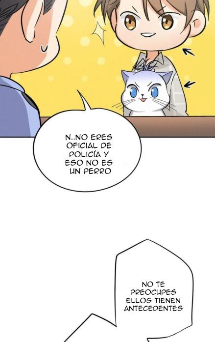 Tengo que trabajar duro para ser un gato hoy! - capitulo 17 manhwa