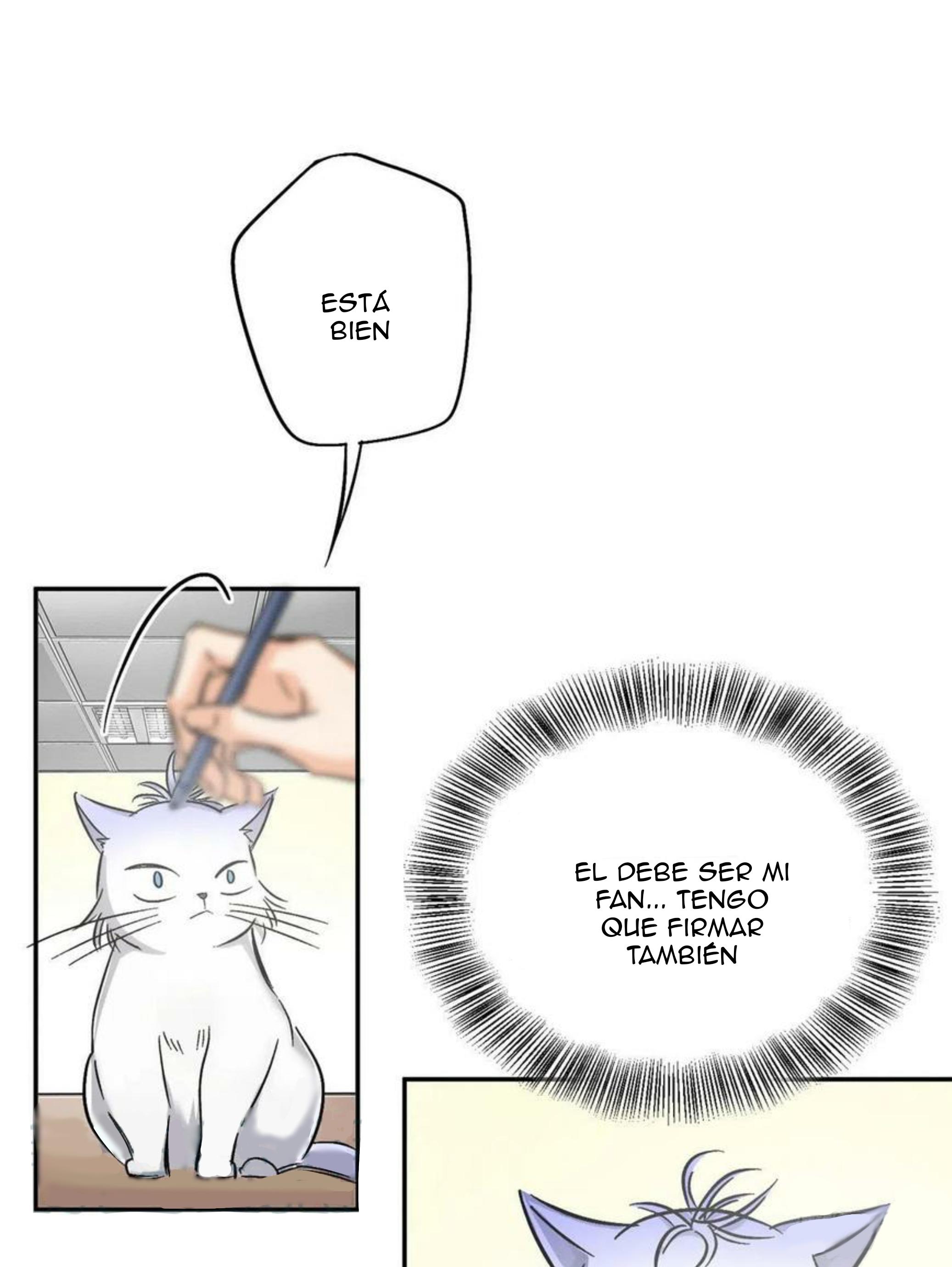 Tengo que trabajar duro para ser un gato hoy! - capitulo 17 manhwa