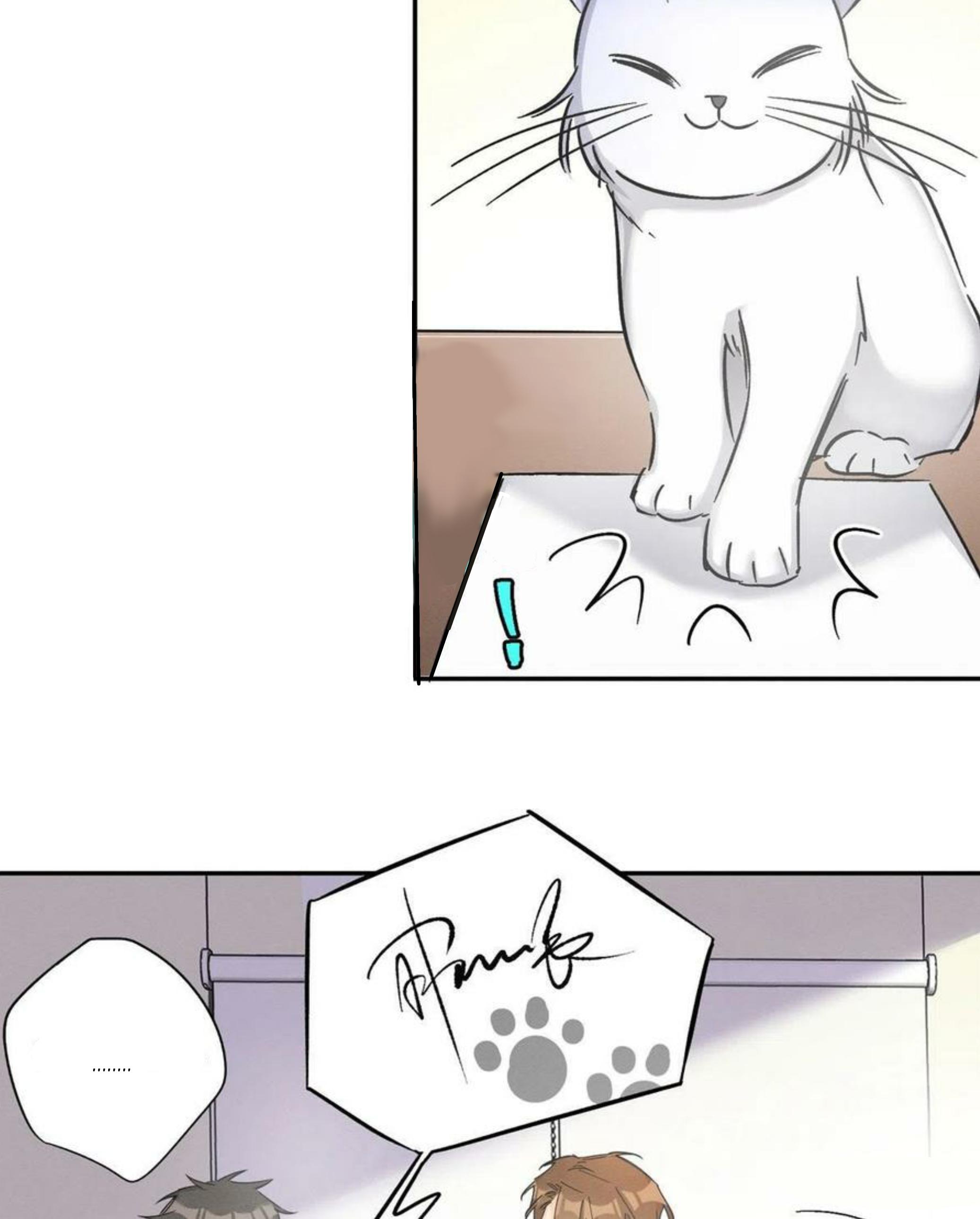 Tengo que trabajar duro para ser un gato hoy! - capitulo 17 manhwa