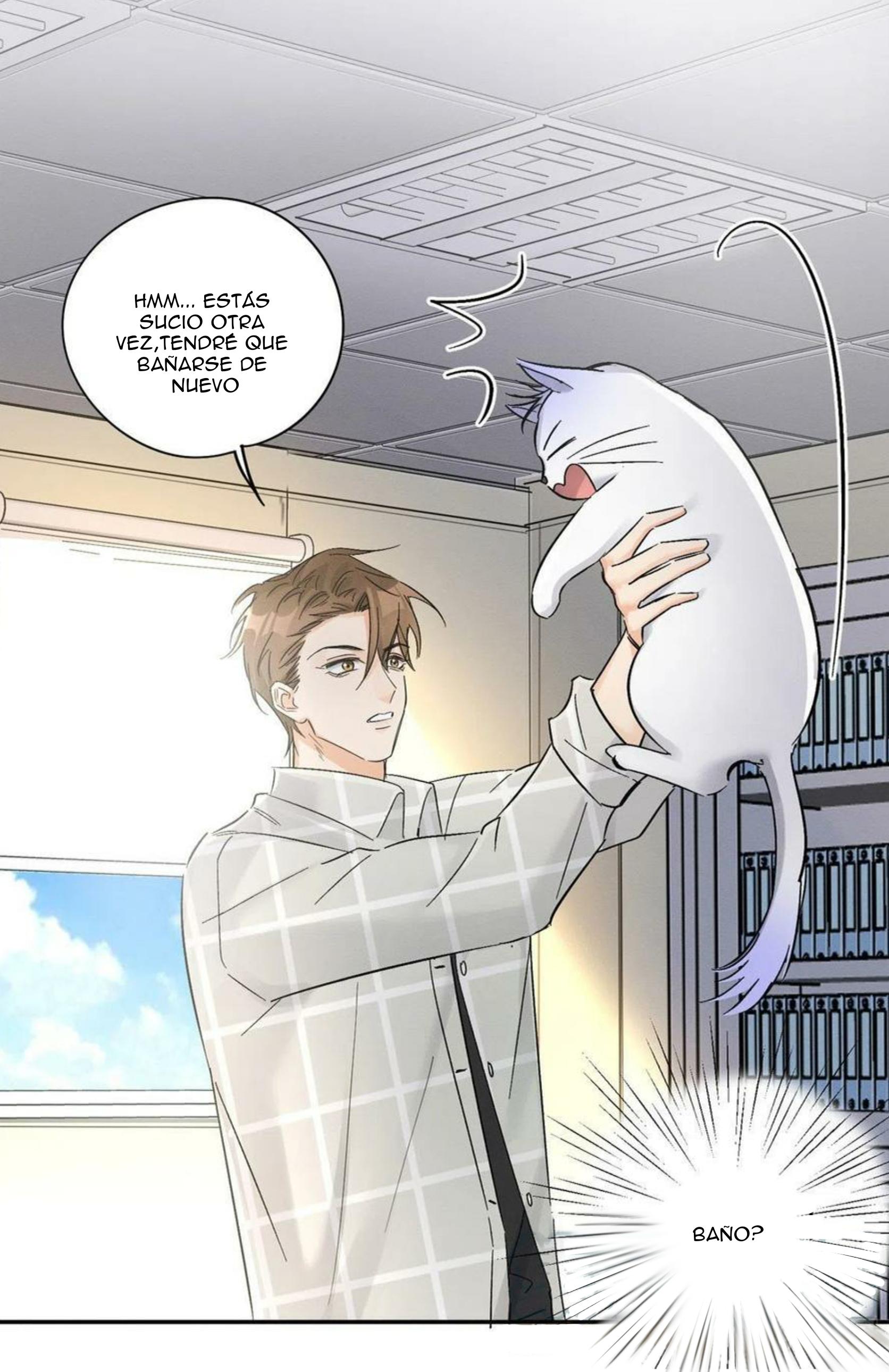 Tengo que trabajar duro para ser un gato hoy! - capitulo 17 manhwa