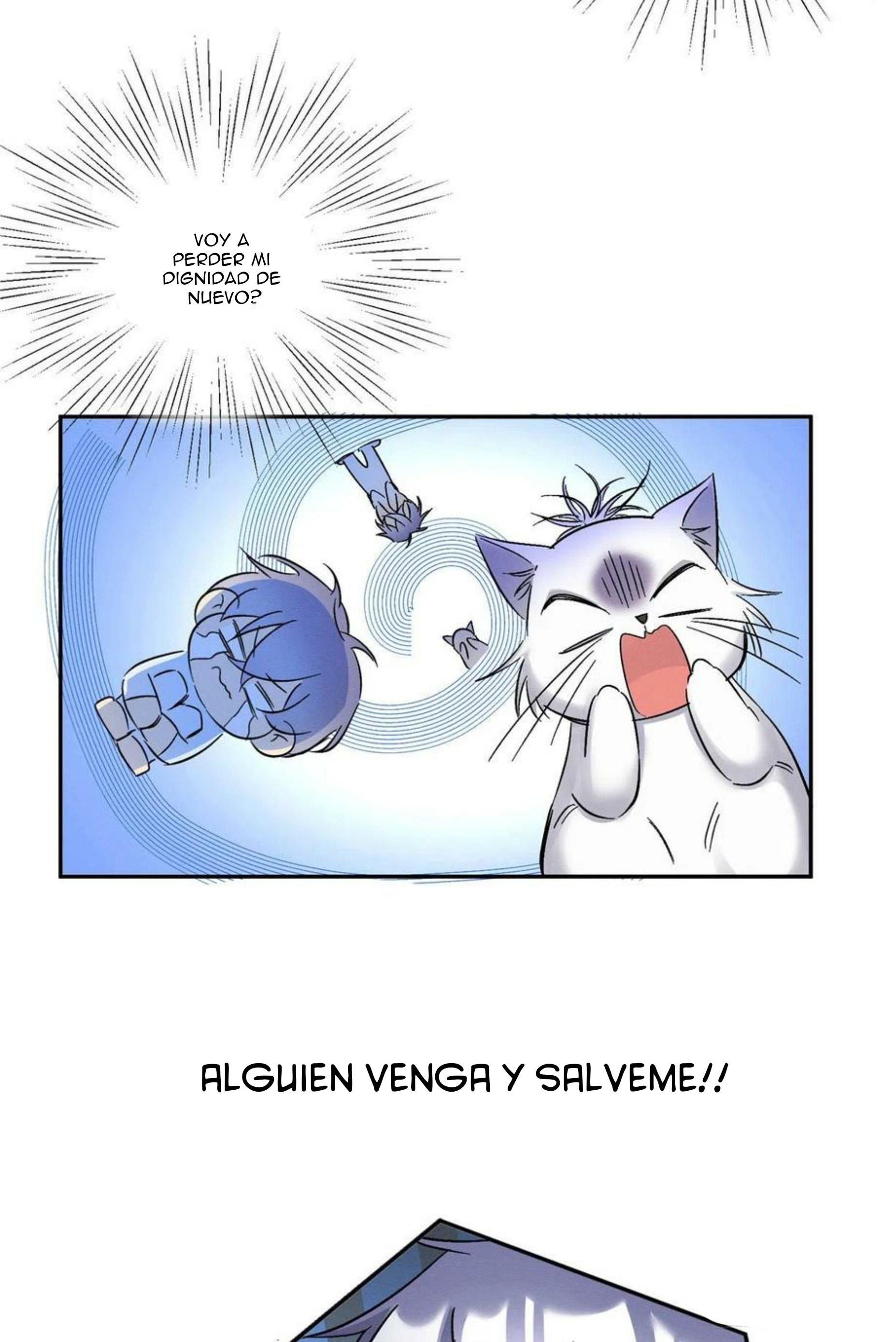 Tengo que trabajar duro para ser un gato hoy! - capitulo 17 manhwa