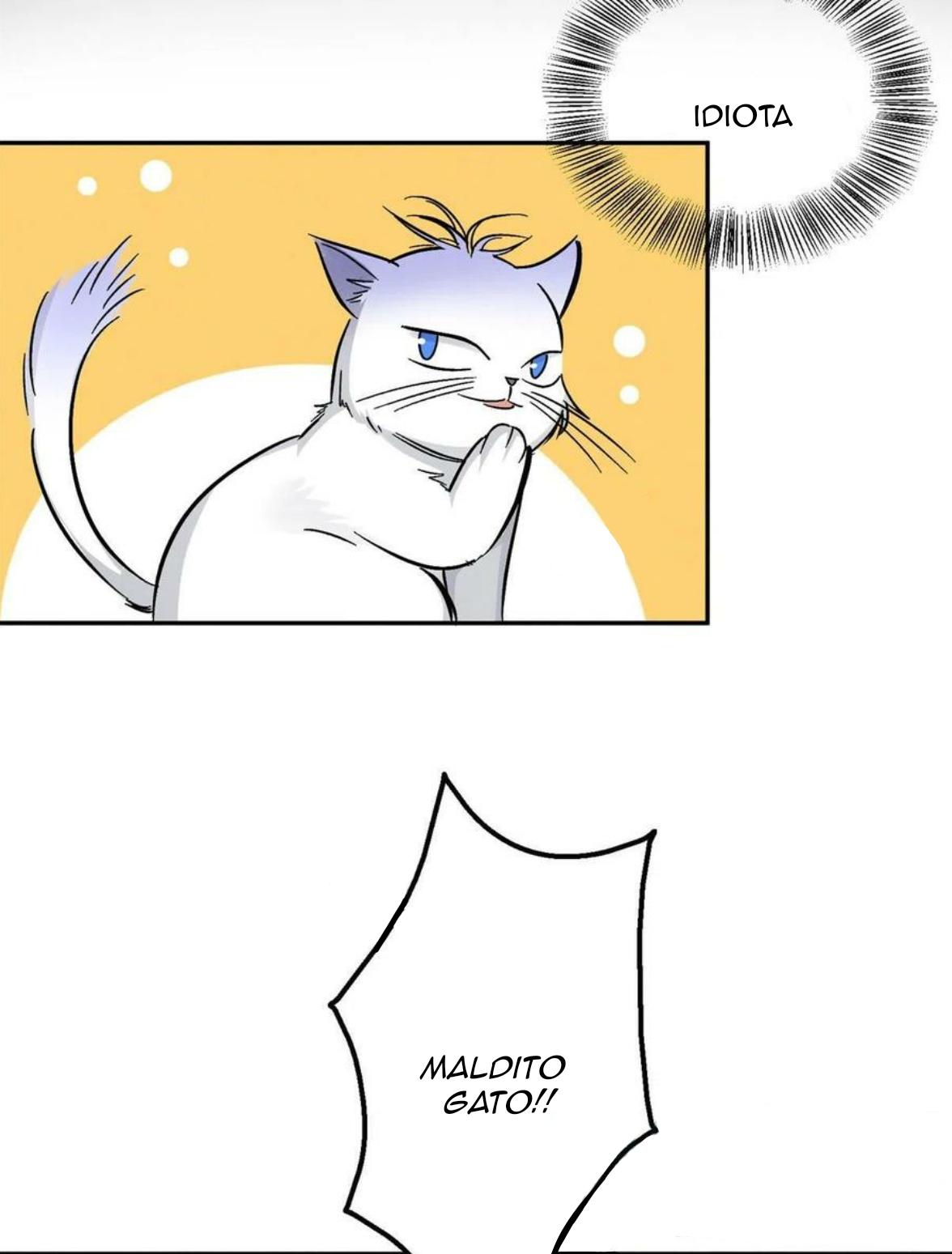 Tengo que trabajar duro para ser un gato hoy! - capitulo 17 manhwa