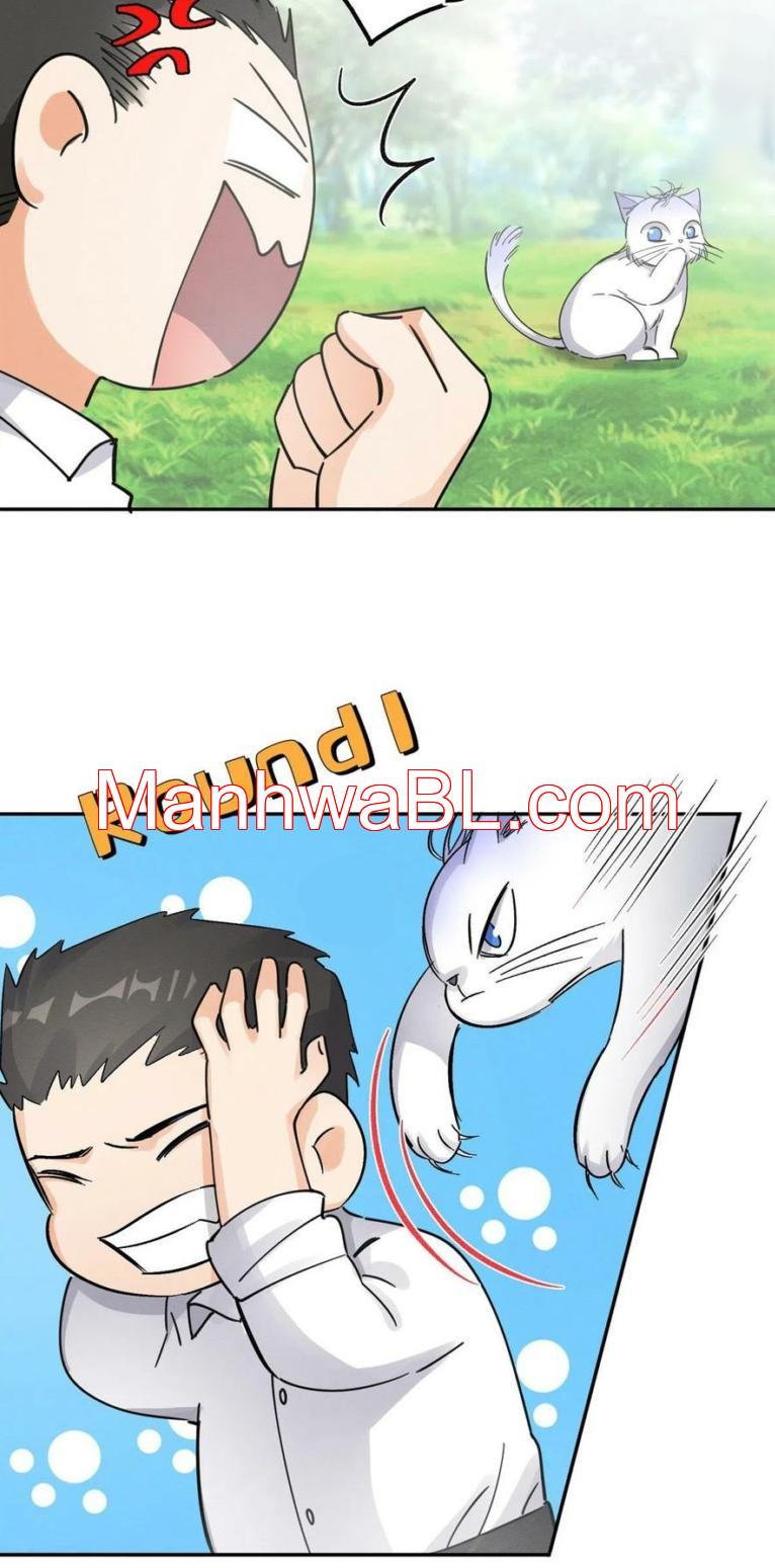 Tengo que trabajar duro para ser un gato hoy! - capitulo 17 manhwa