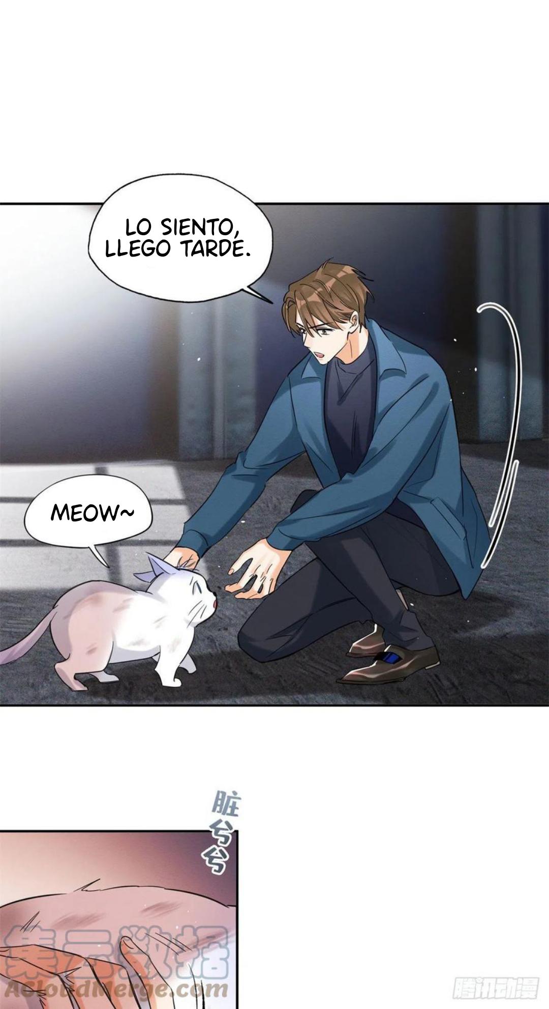 Tengo que trabajar duro para ser un gato hoy! - capitulo 48 manhwa