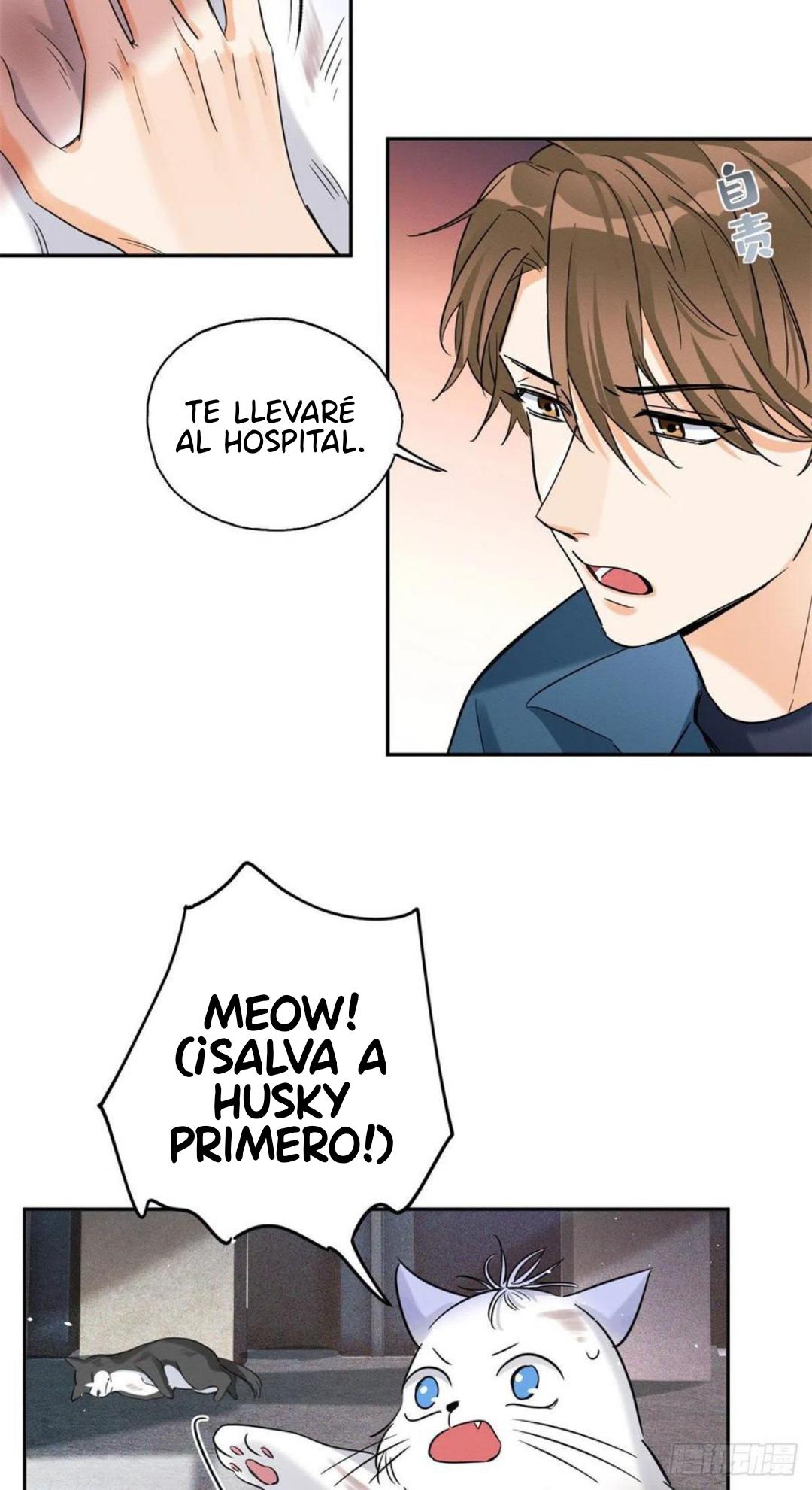 Tengo que trabajar duro para ser un gato hoy! - capitulo 48 manhwa
