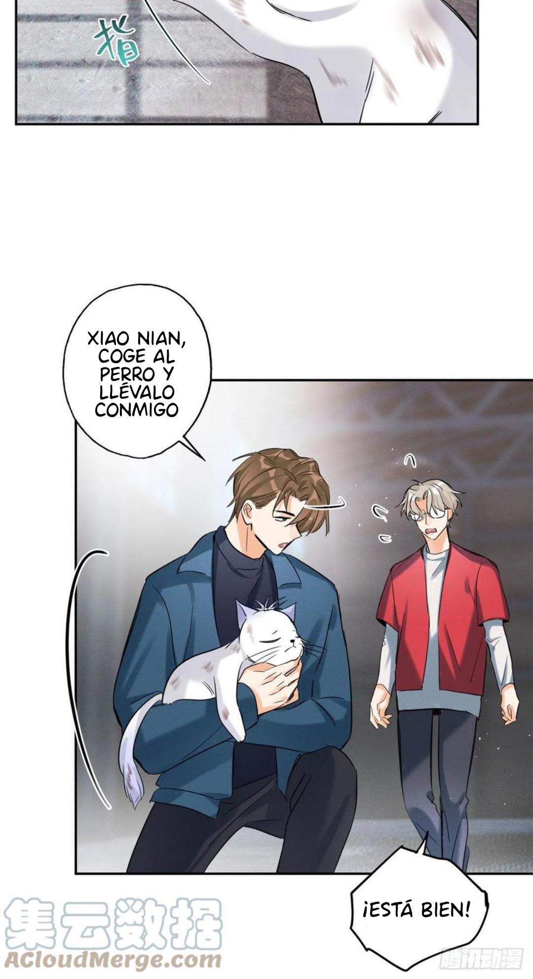 Tengo que trabajar duro para ser un gato hoy! - capitulo 48 manhwa