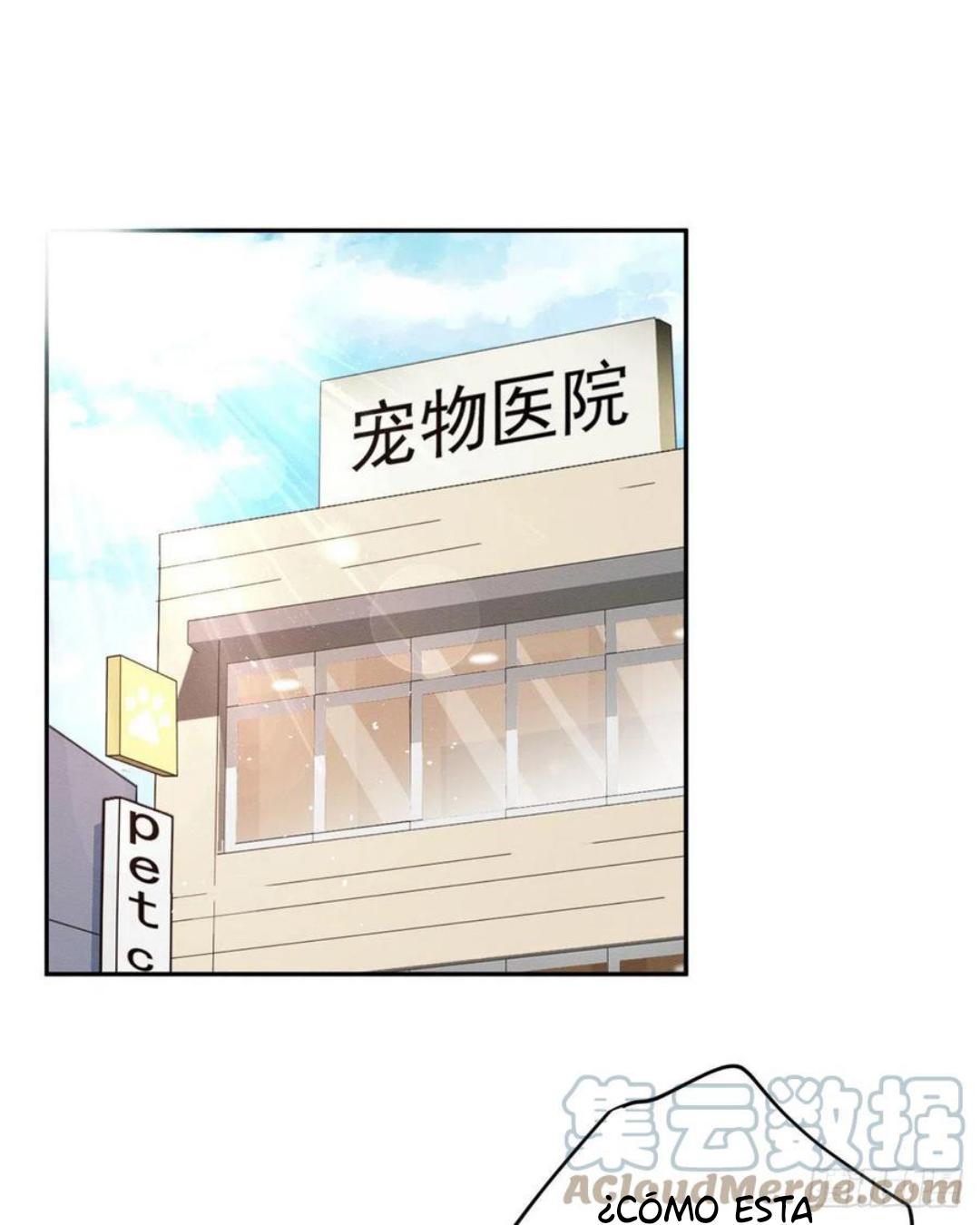 Tengo que trabajar duro para ser un gato hoy! - capitulo 48 manhwa