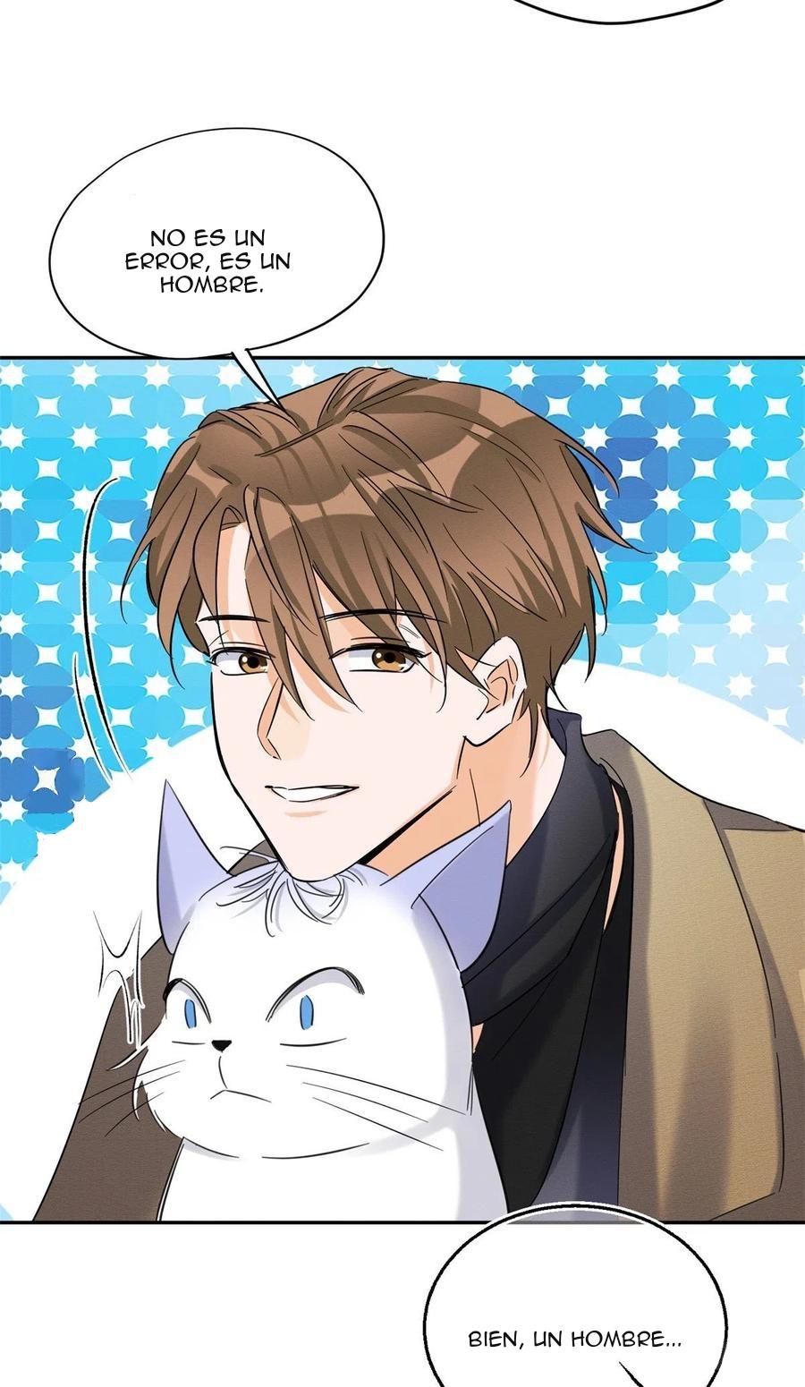 Tengo que trabajar duro para ser un gato hoy! - capitulo 45 manhwa