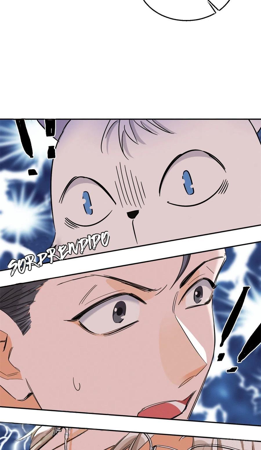 Tengo que trabajar duro para ser un gato hoy! - capitulo 45 manhwa