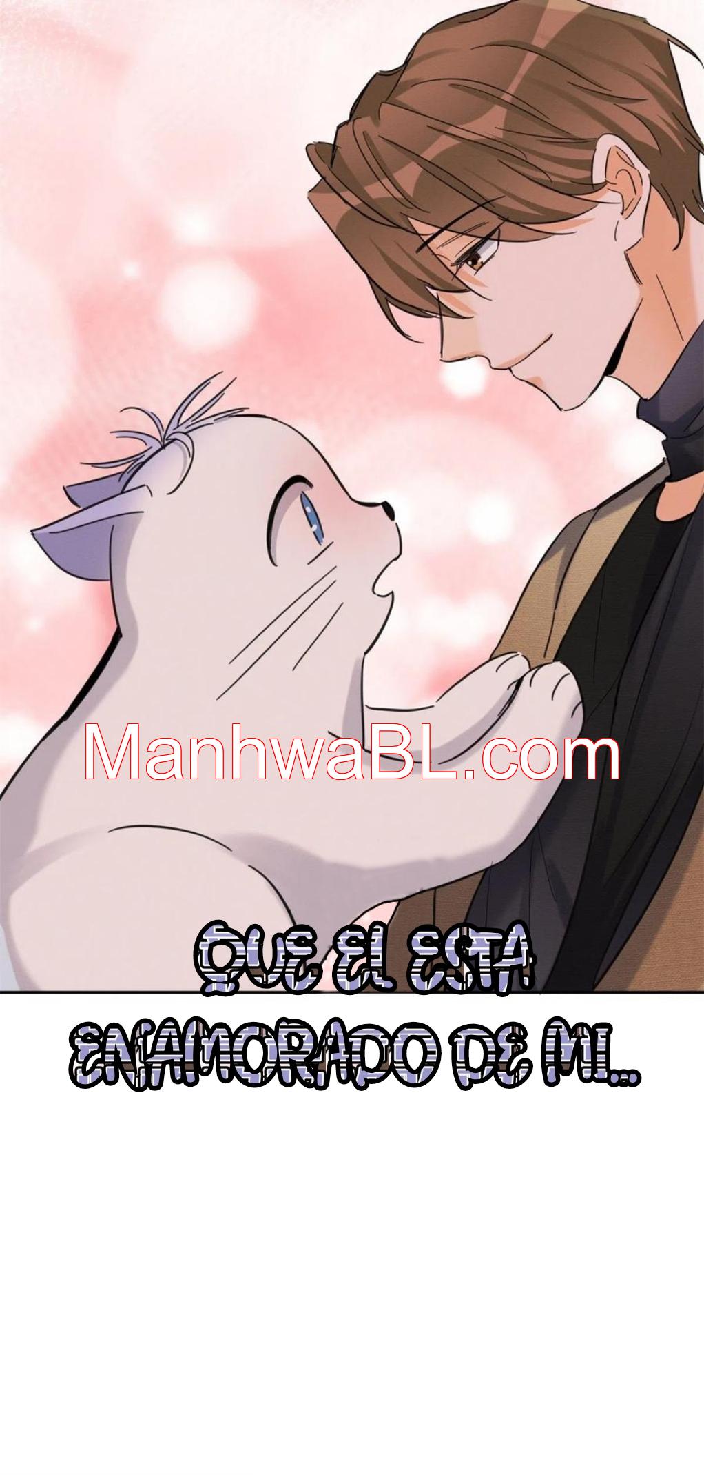 Tengo que trabajar duro para ser un gato hoy! - capitulo 45 manhwa