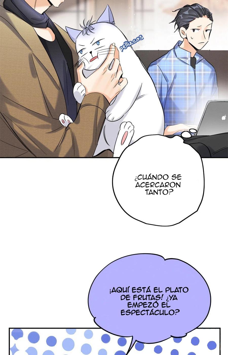 Tengo que trabajar duro para ser un gato hoy! - capitulo 45 manhwa