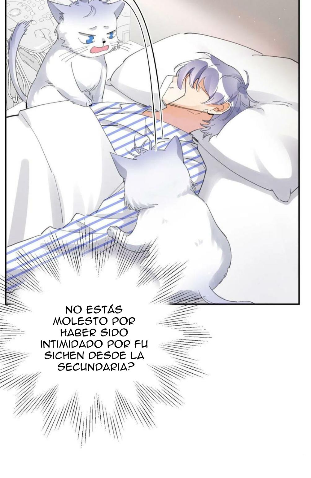 Tengo que trabajar duro para ser un gato hoy! - capitulo 16 manhwa