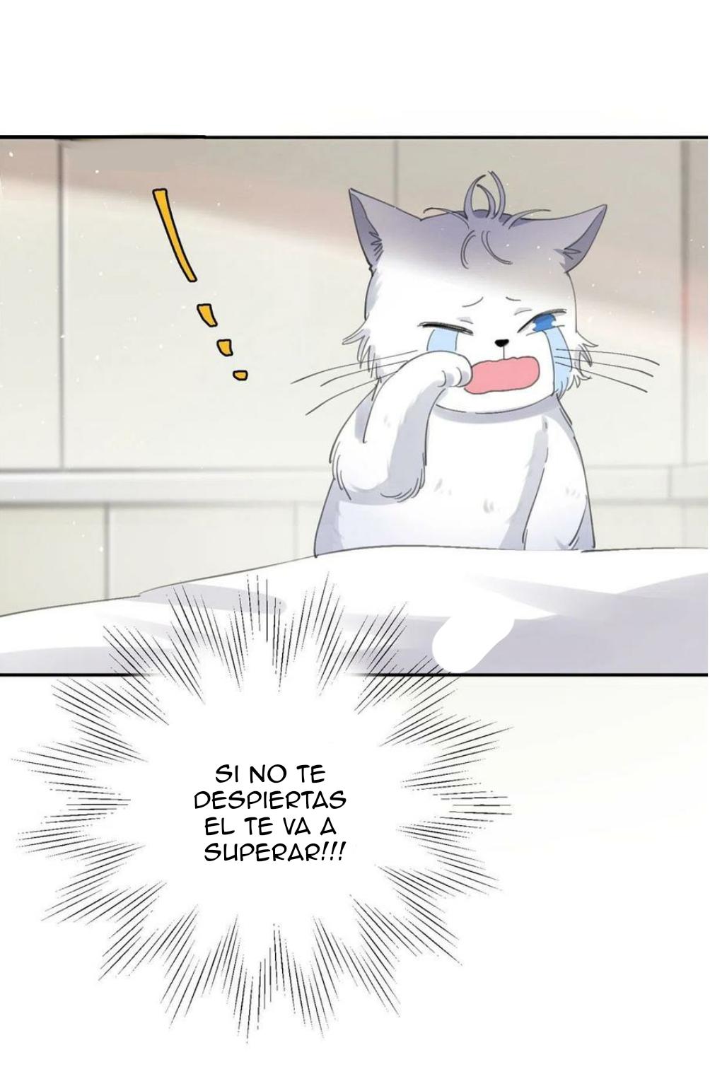 Tengo que trabajar duro para ser un gato hoy! - capitulo 16 manhwa