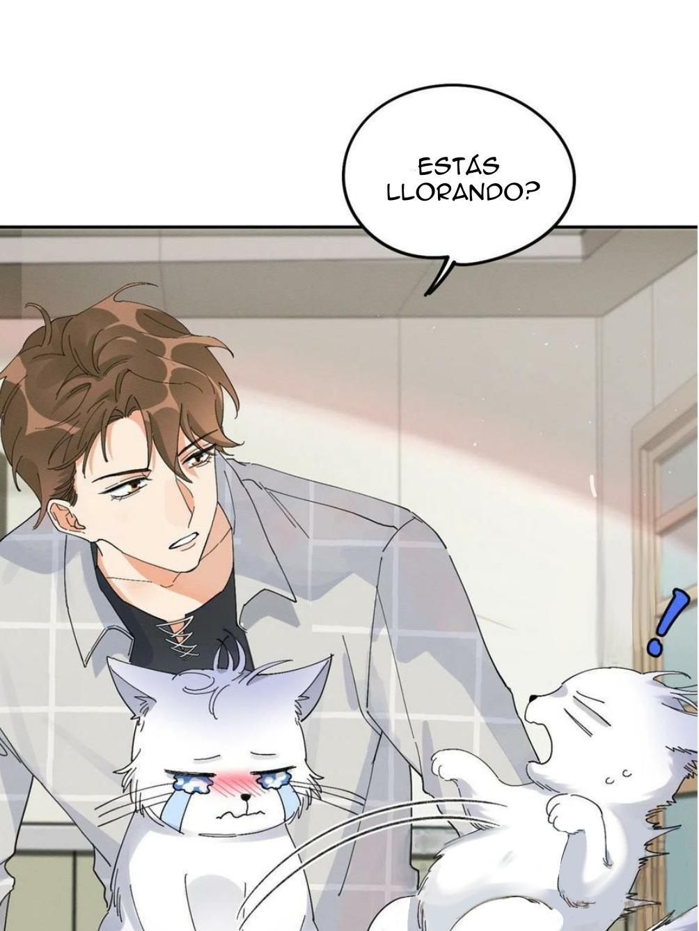 Tengo que trabajar duro para ser un gato hoy! - capitulo 16 manhwa