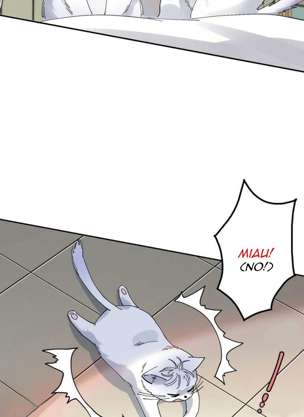 Tengo que trabajar duro para ser un gato hoy! - capitulo 16 manhwa