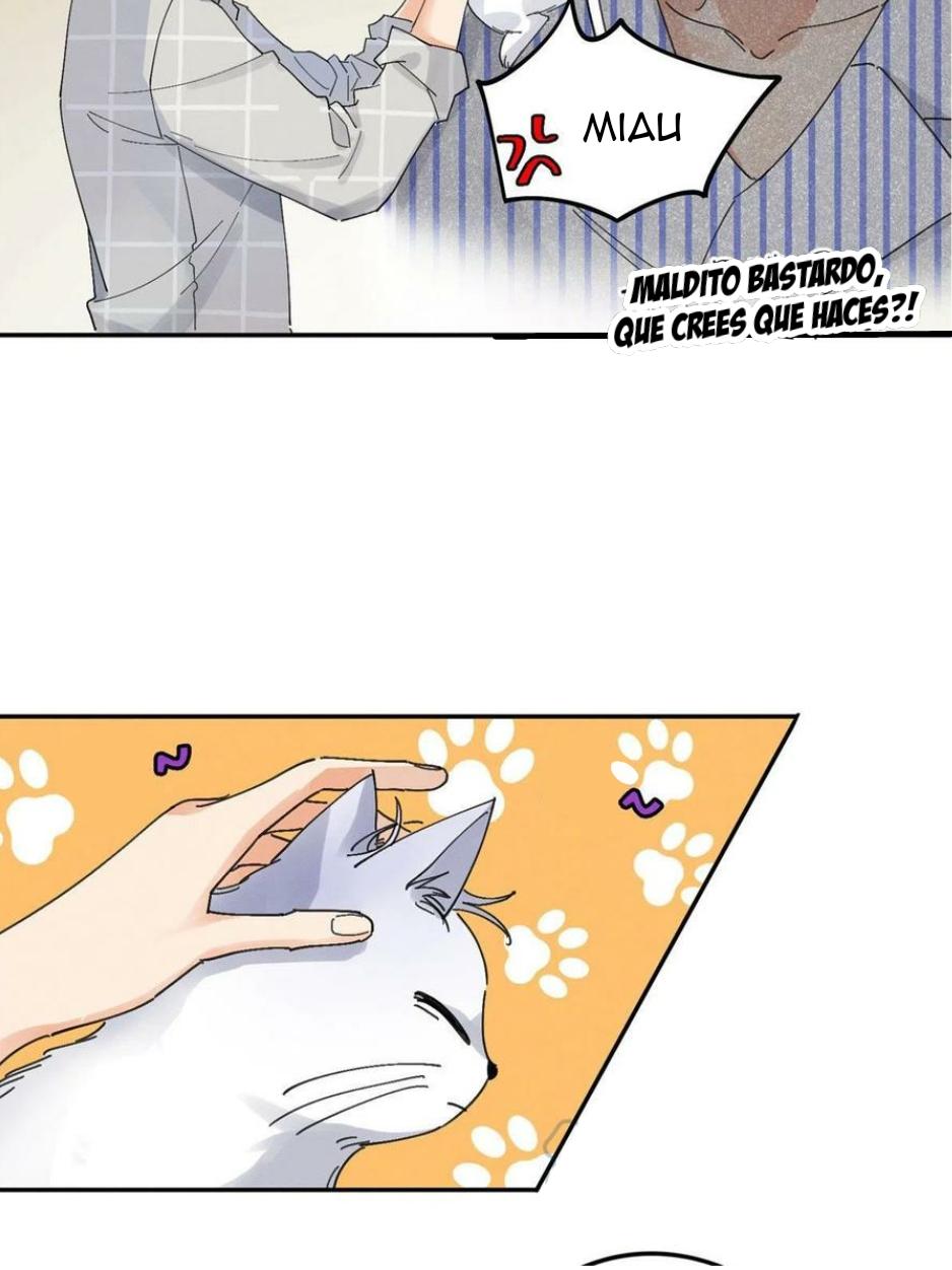 Tengo que trabajar duro para ser un gato hoy! - capitulo 16 manhwa