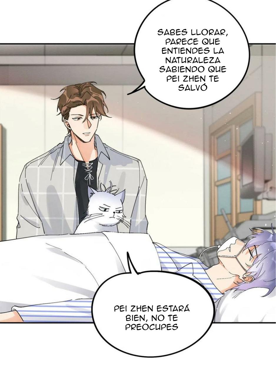 Tengo que trabajar duro para ser un gato hoy! - capitulo 16 manhwa