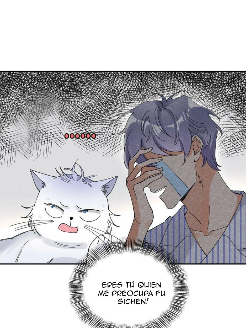 Tengo que trabajar duro para ser un gato hoy! - capitulo 16 manhwa