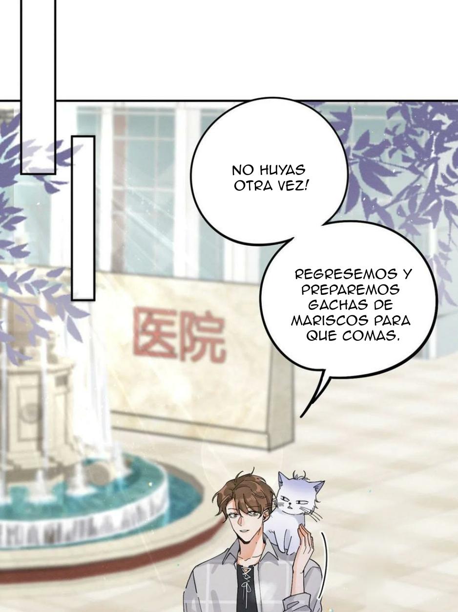 Tengo que trabajar duro para ser un gato hoy! - capitulo 16 manhwa
