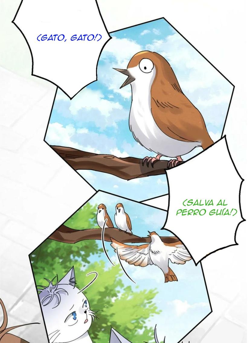 Tengo que trabajar duro para ser un gato hoy! - capitulo 16 manhwa