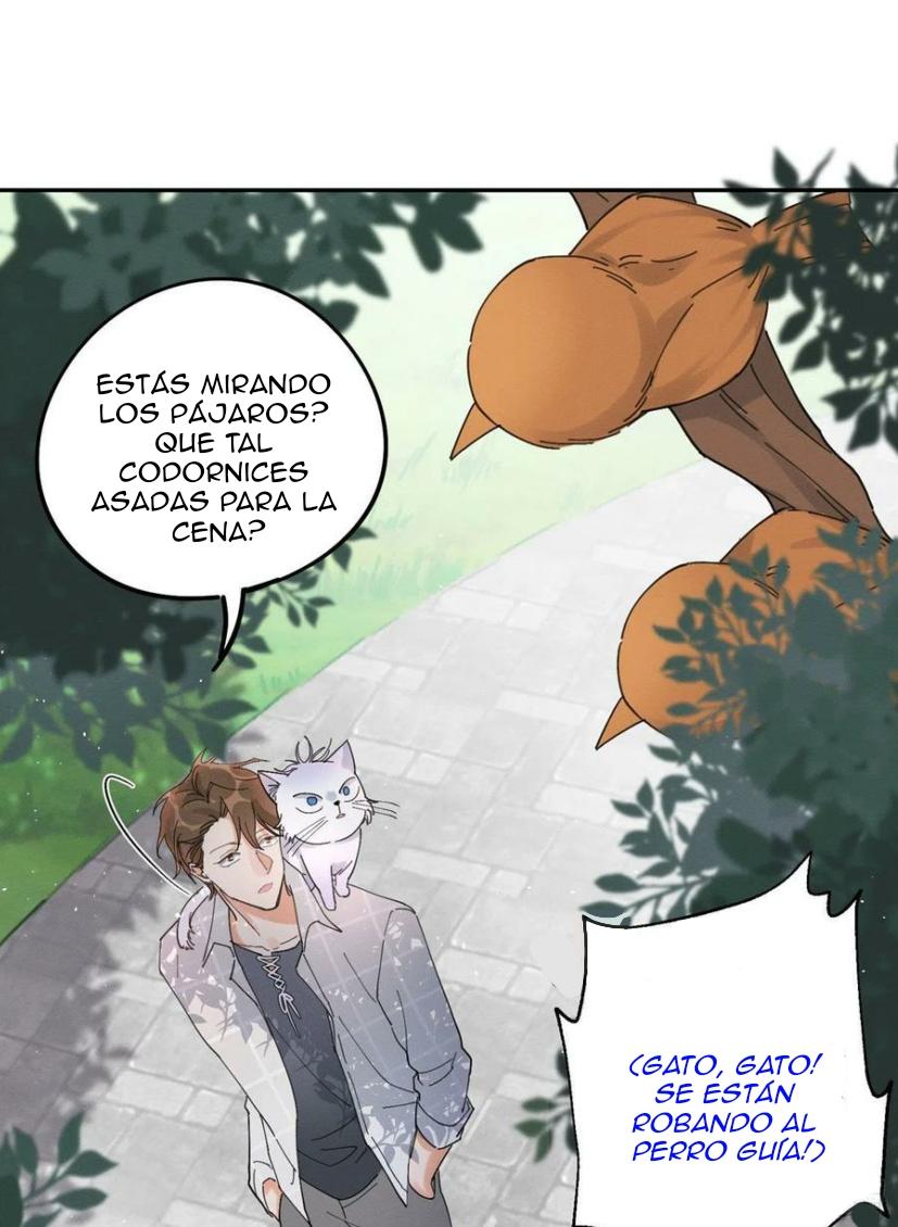 Tengo que trabajar duro para ser un gato hoy! - capitulo 16 manhwa
