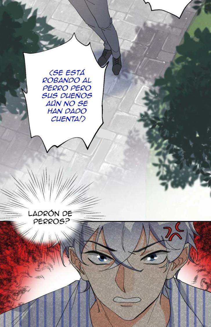Tengo que trabajar duro para ser un gato hoy! - capitulo 16 manhwa