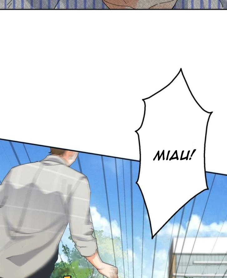 Tengo que trabajar duro para ser un gato hoy! - capitulo 16 manhwa