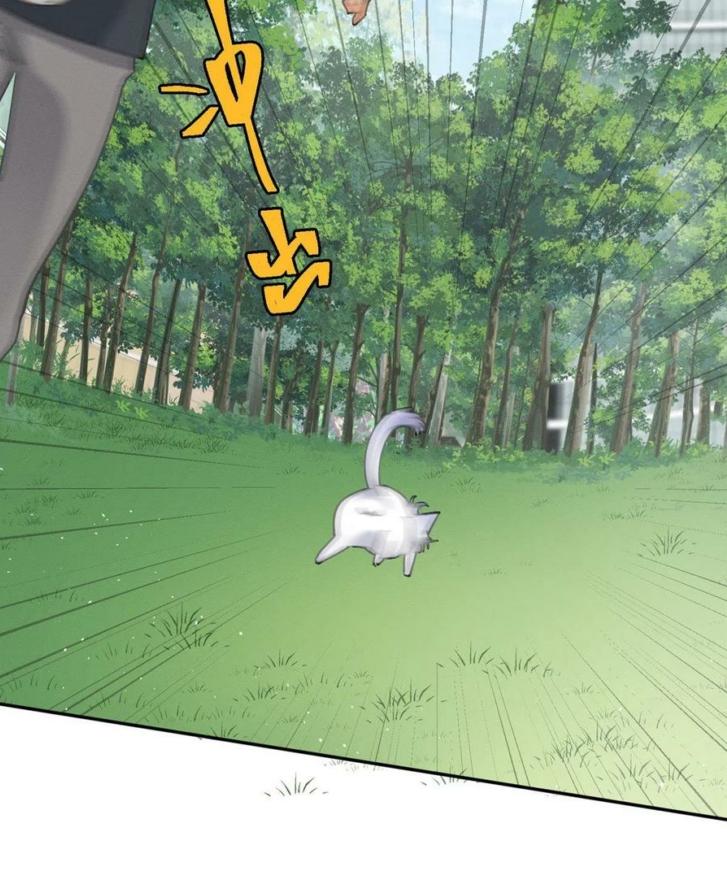 Tengo que trabajar duro para ser un gato hoy! - capitulo 16 manhwa