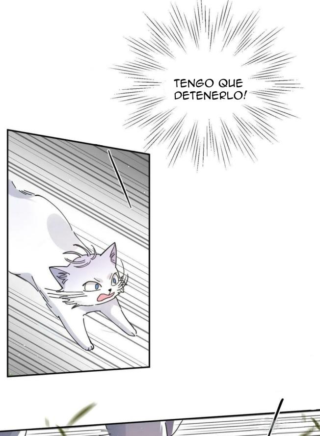 Tengo que trabajar duro para ser un gato hoy! - capitulo 16 manhwa