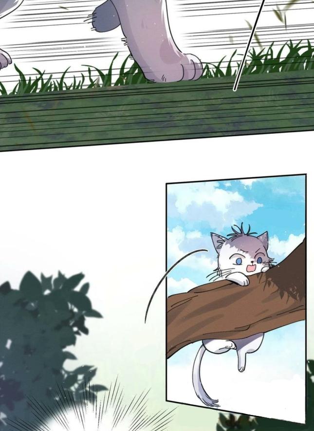 Tengo que trabajar duro para ser un gato hoy! - capitulo 16 manhwa