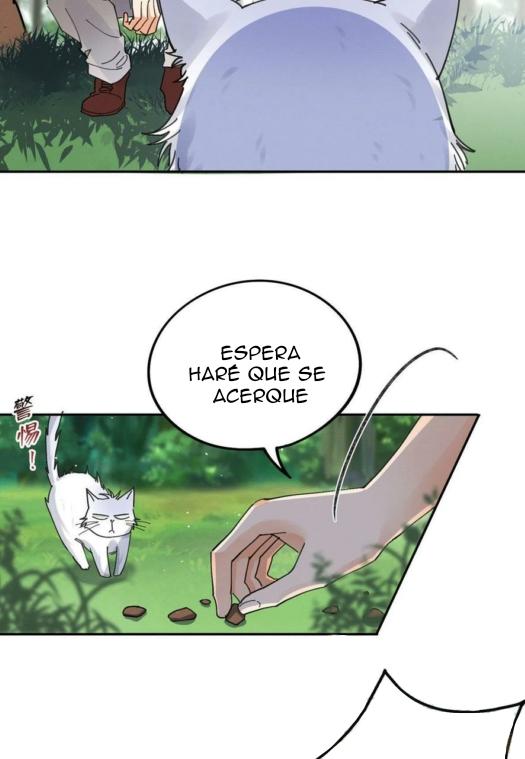Tengo que trabajar duro para ser un gato hoy! - capitulo 16 manhwa