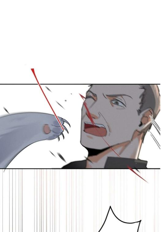 Tengo que trabajar duro para ser un gato hoy! - capitulo 16 manhwa
