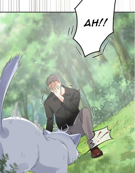 Tengo que trabajar duro para ser un gato hoy! - capitulo 16 manhwa