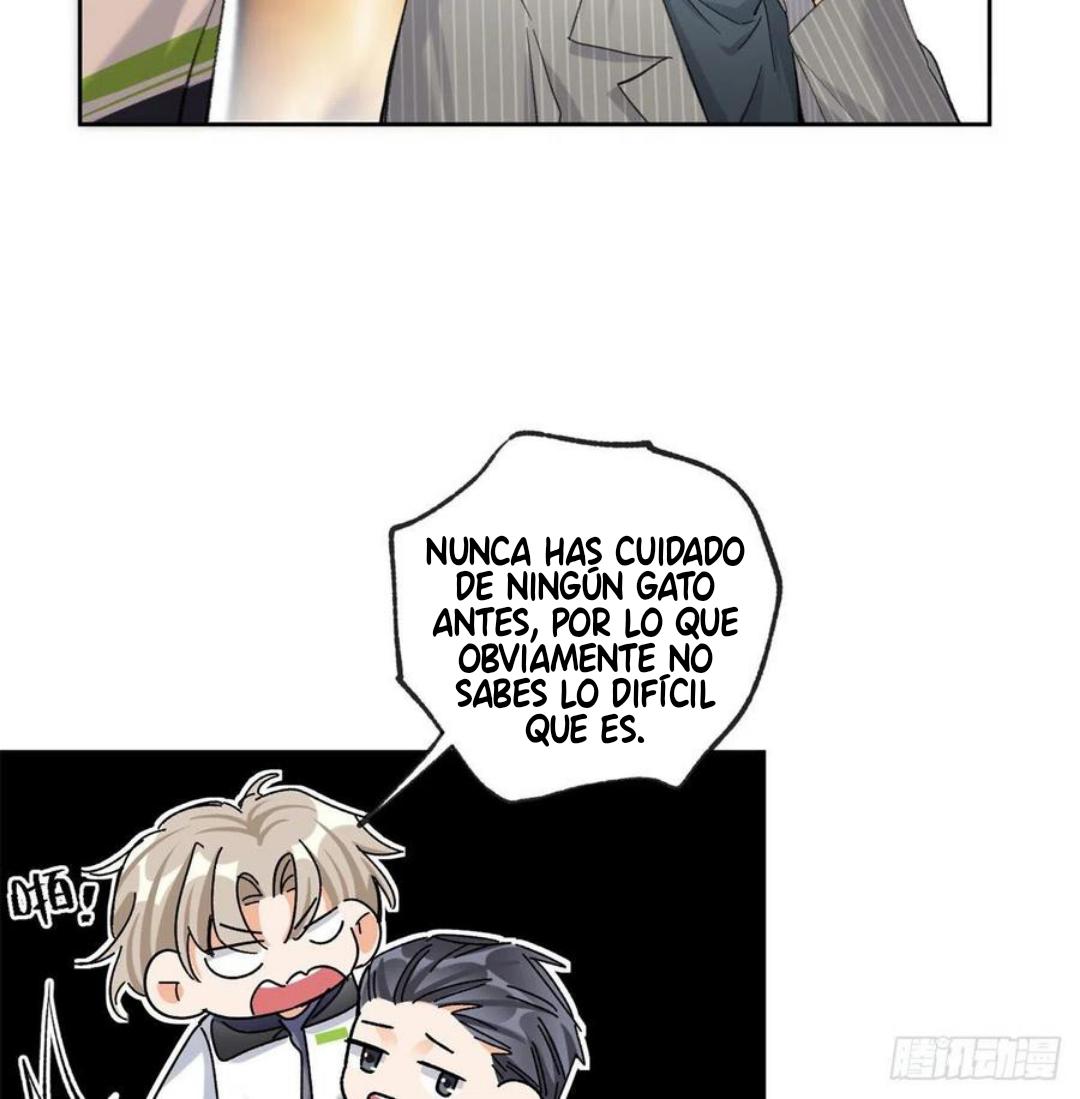 Tengo que trabajar duro para ser un gato hoy! - capitulo 57 manhwa