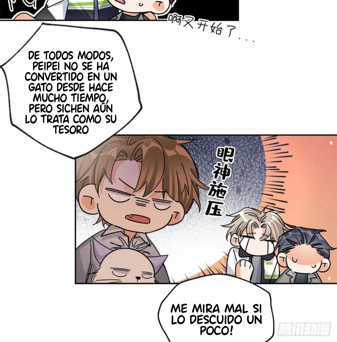 Tengo que trabajar duro para ser un gato hoy! - capitulo 57 manhwa