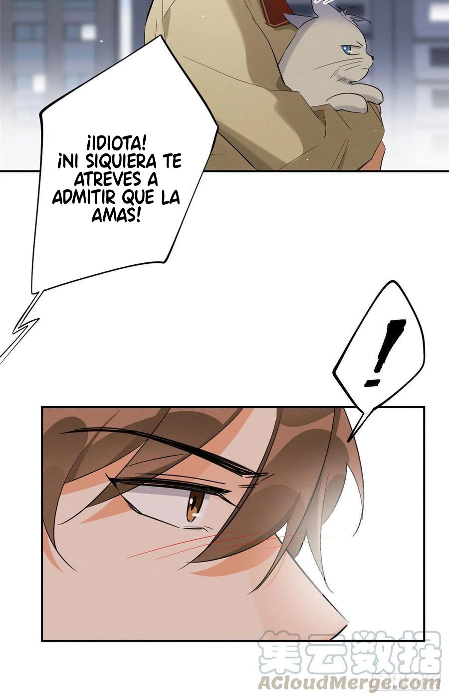 Tengo que trabajar duro para ser un gato hoy! - capitulo 34 manhwa