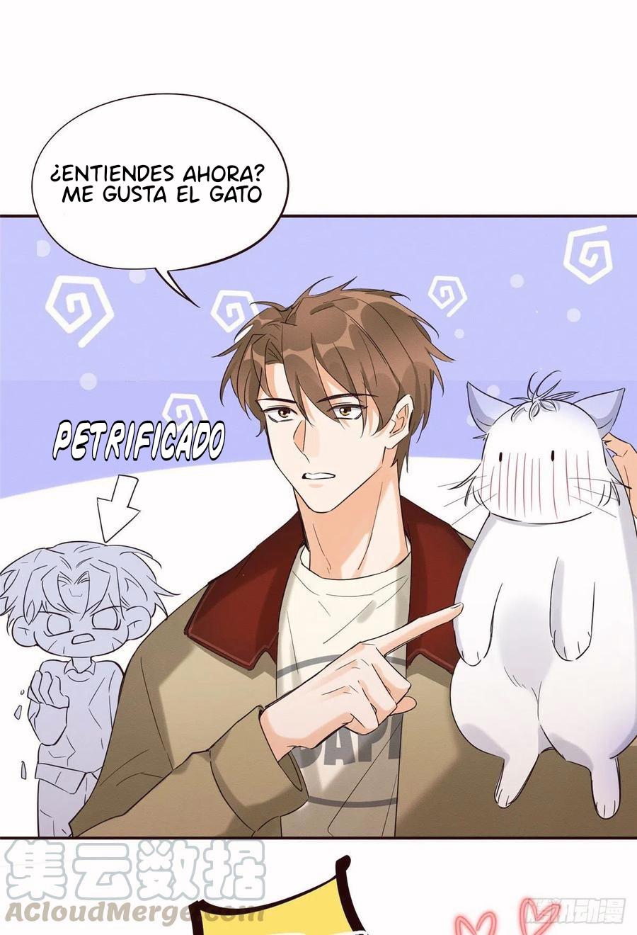 Tengo que trabajar duro para ser un gato hoy! - capitulo 34 manhwa