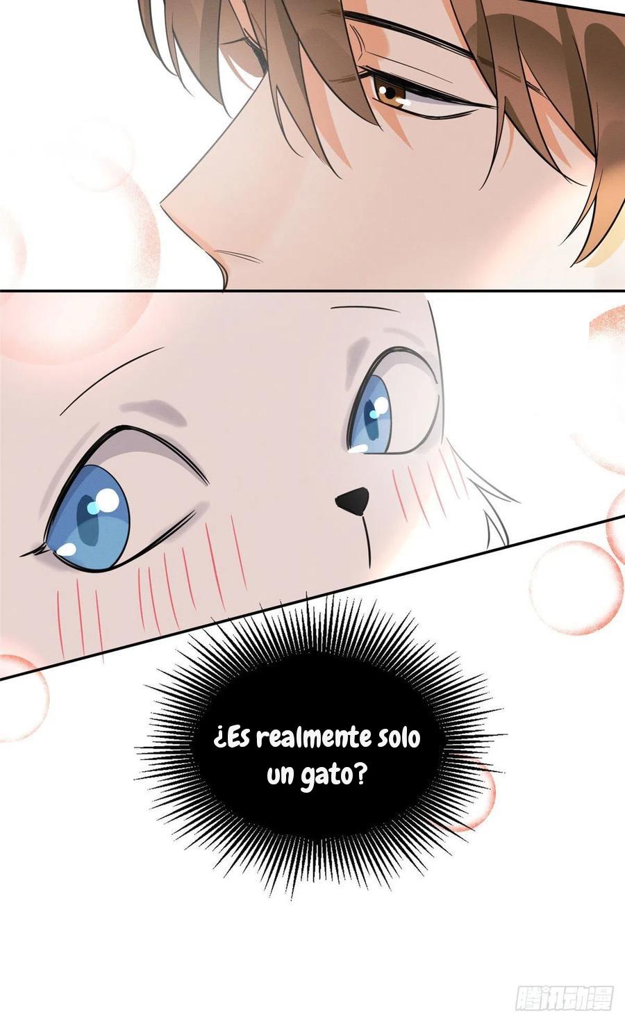 Tengo que trabajar duro para ser un gato hoy! - capitulo 34 manhwa