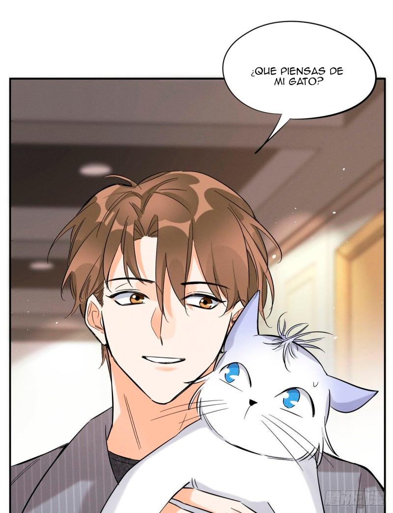 Tengo que trabajar duro para ser un gato hoy! - capitulo 38 manhwa