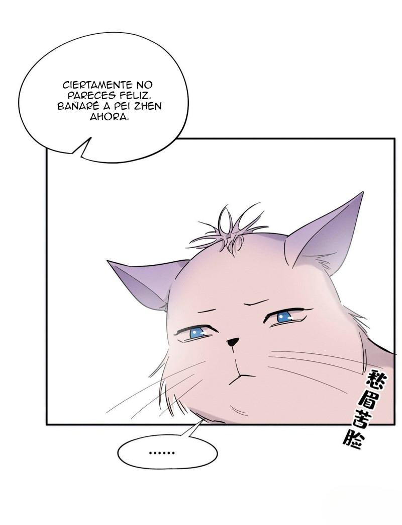 Tengo que trabajar duro para ser un gato hoy! - capitulo 38 manhwa