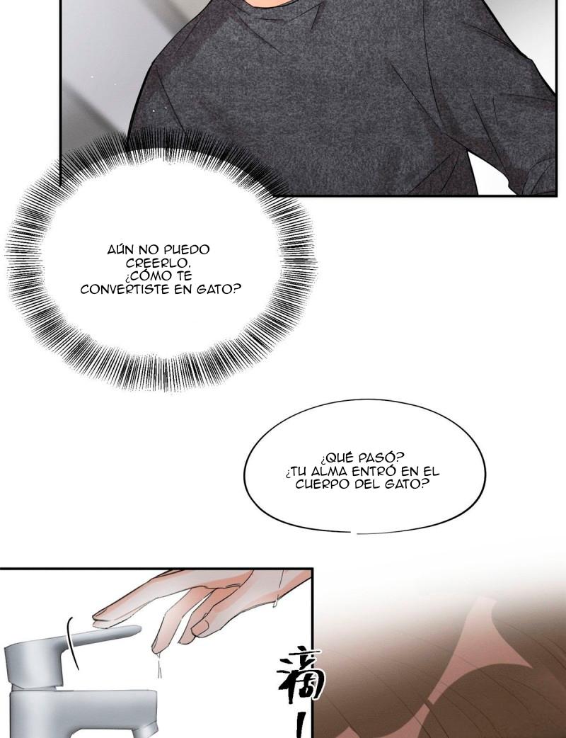 Tengo que trabajar duro para ser un gato hoy! - capitulo 38 manhwa