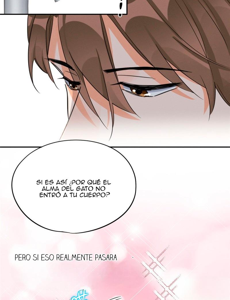 Tengo que trabajar duro para ser un gato hoy! - capitulo 38 manhwa