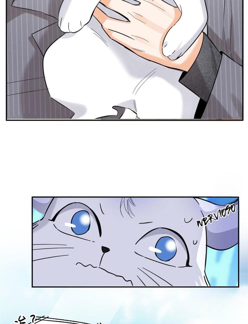 Tengo que trabajar duro para ser un gato hoy! - capitulo 38 manhwa