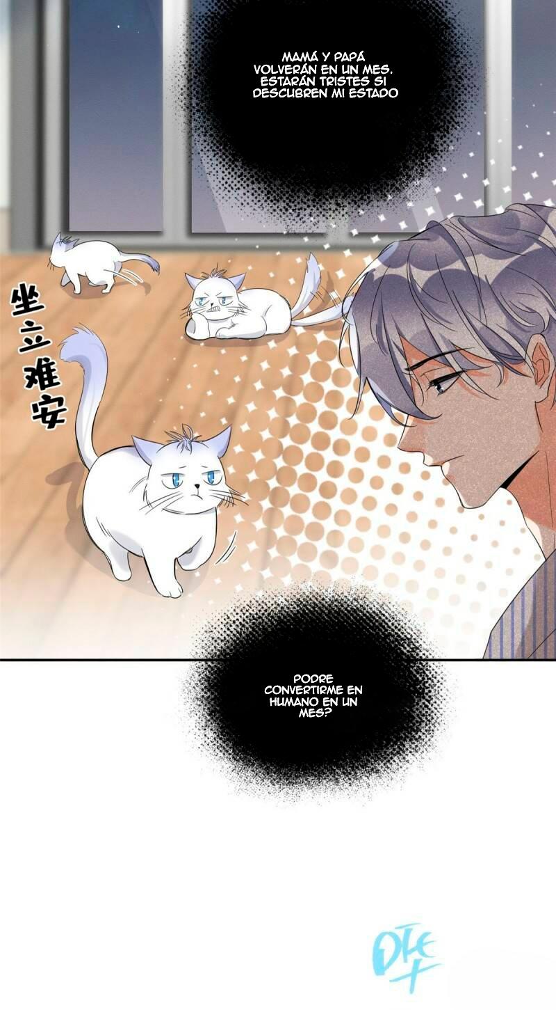 Tengo que trabajar duro para ser un gato hoy! - capitulo 38 manhwa