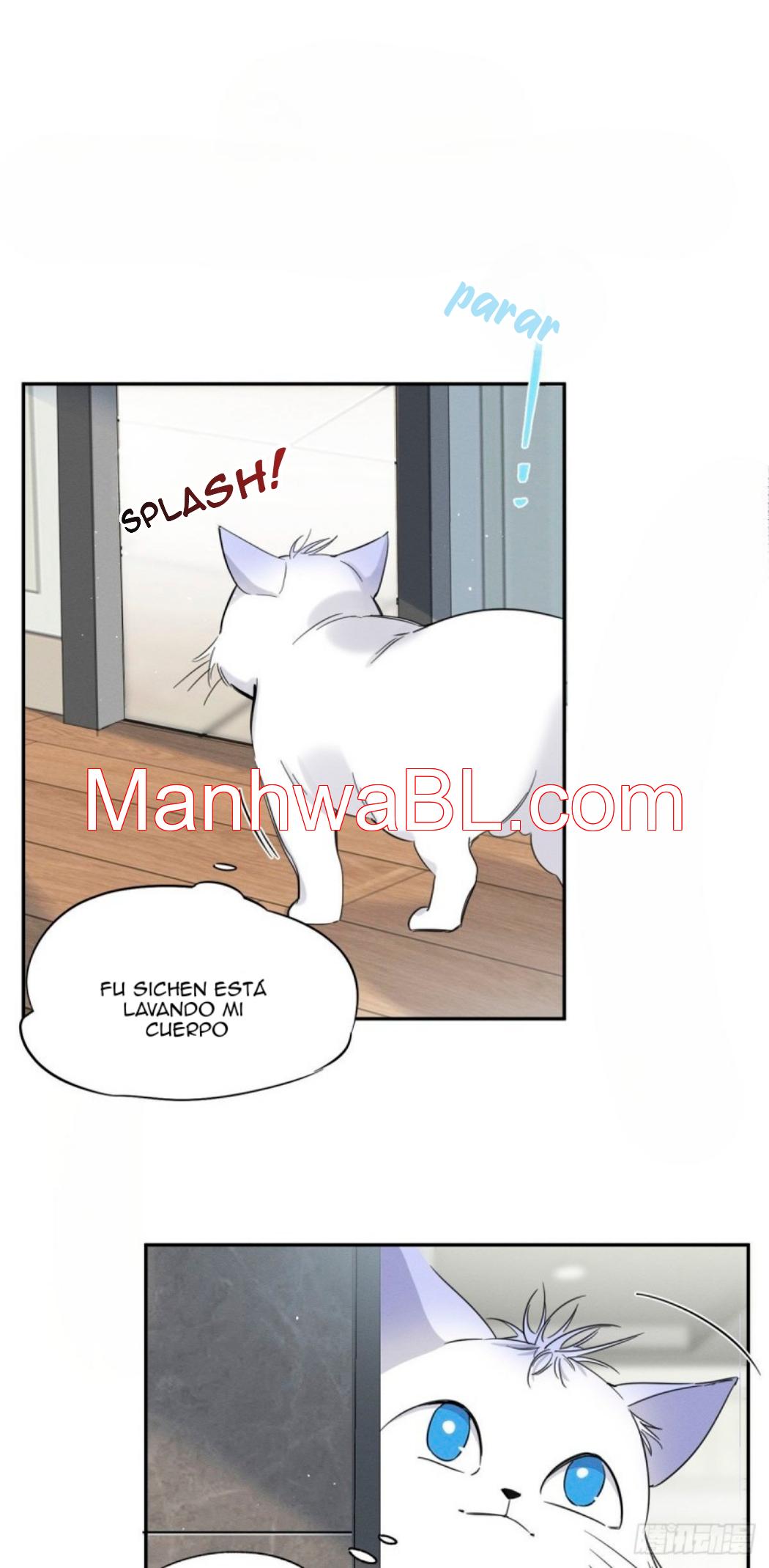 Tengo que trabajar duro para ser un gato hoy! - capitulo 38 manhwa
